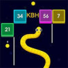 Snake Blocks and Numbers