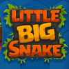 Little Big Snake