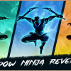 Shadow Ninja Revenge